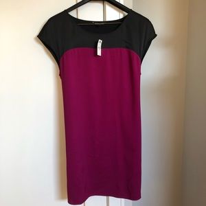 NWT Express shift dress!